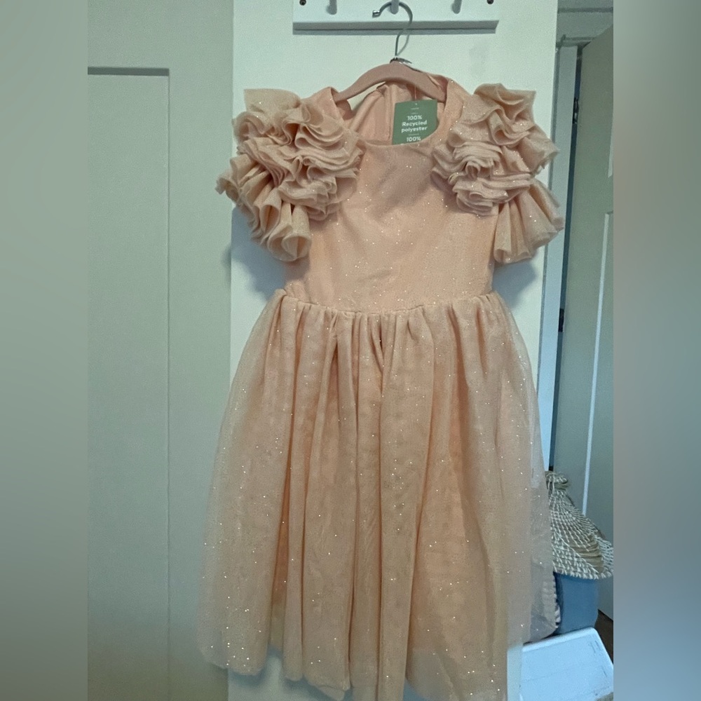 H&M girls pink sparkle tulle dress